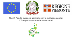 Operazione 16.8.1 “Piani forestali e strumenti equivalenti”